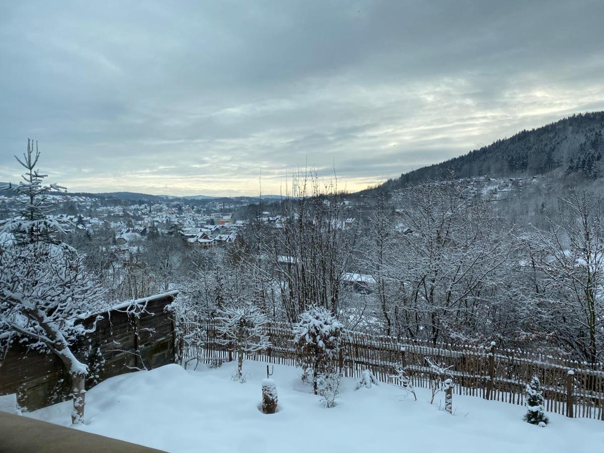 Chalet Huettenzauber Zella-Mehlis Exteriör bild