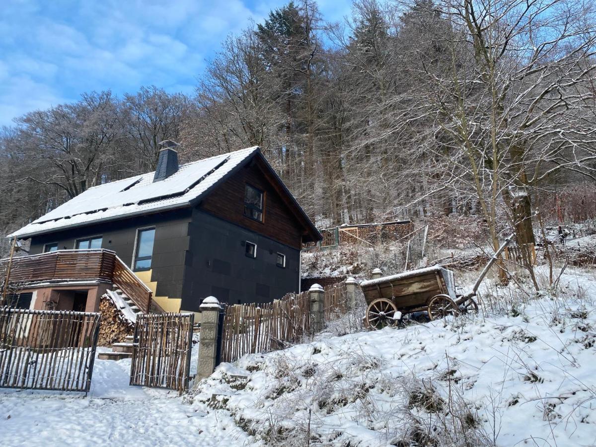 Chalet Huettenzauber Zella-Mehlis Exteriör bild